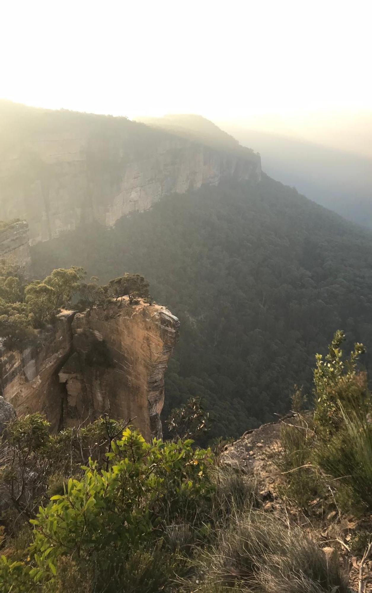Hostel Flying Fox Backpackers Katoomba Exterior foto